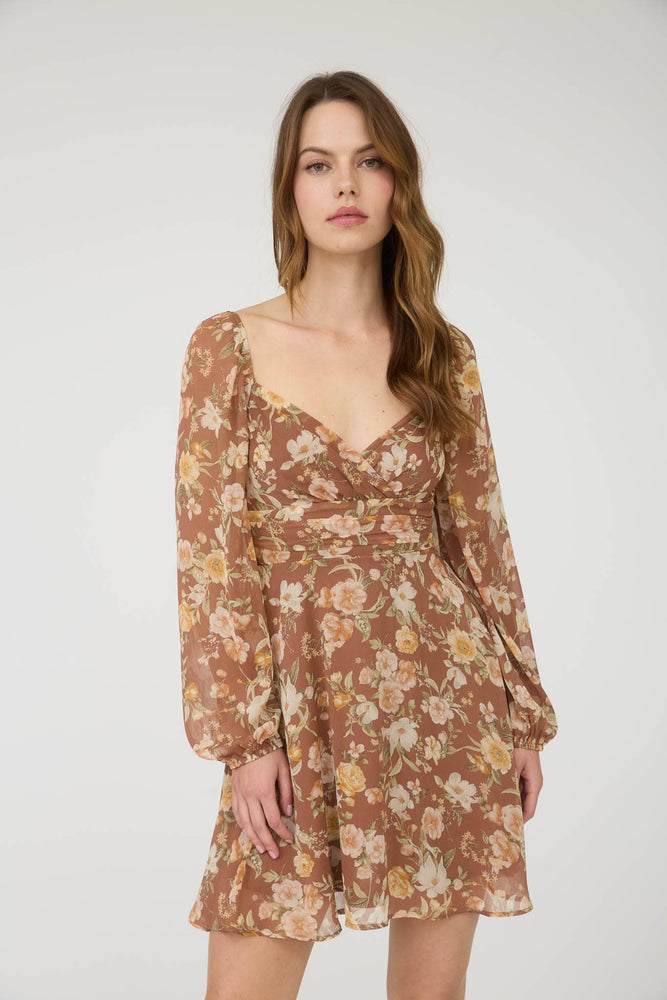 Autumn Roses Long Sleeve Dress