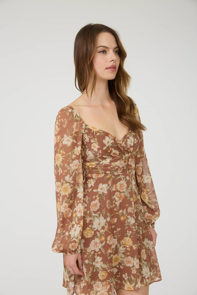 Autumn Roses Long Sleeve Dress