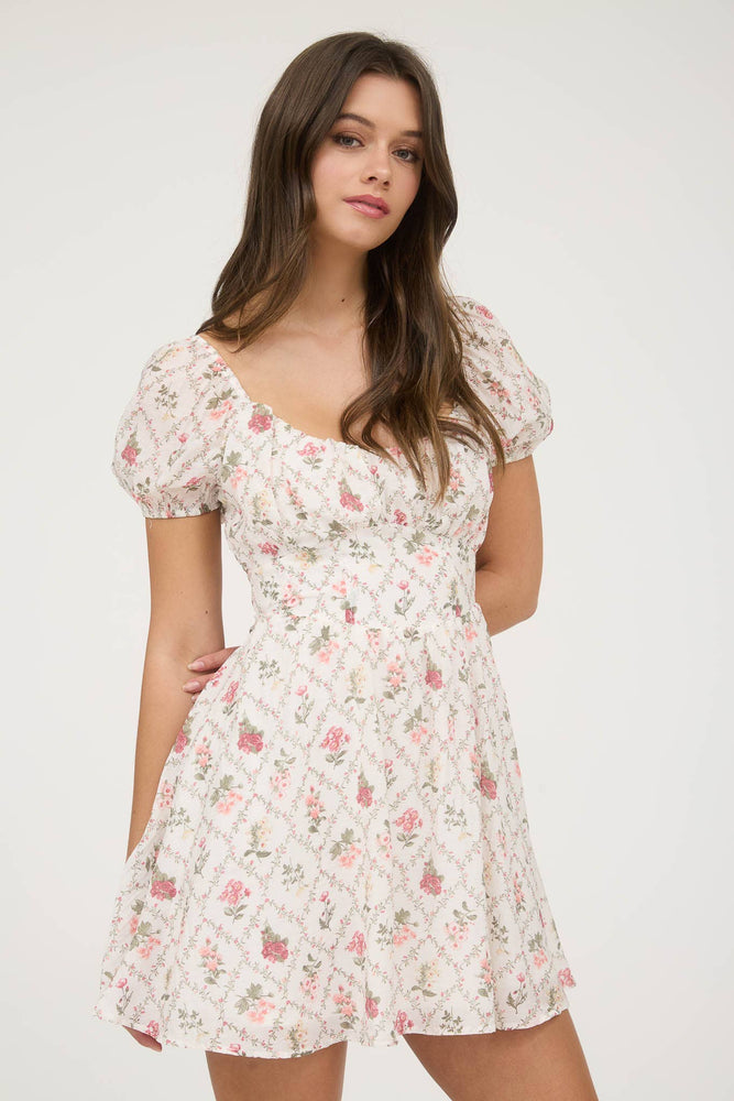 Ivy Trellis Corset Mini Dress